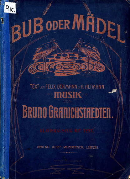 Книга  ЦГПБ, Бруно Гранихштадтен Bub oder Madel