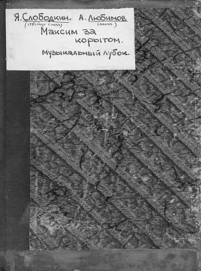 Книга А. Любимов,  ЦГПБ Максим за корытом