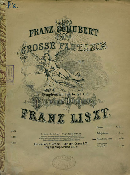 Книга Франц Петер Шуберт,  ЦГПБ Grosse Fantasie, op. 15, fur Piano und Orchester v. F. Liszt simphonisch bearb. Pianostimme allein