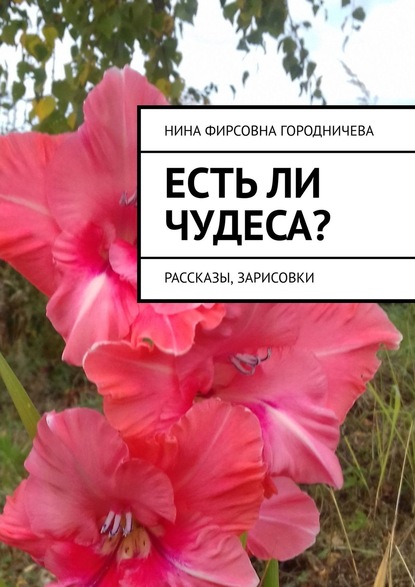 Книга Нина Фирсовна Городничева Есть ли чудеса? Рассказы, зарисовки