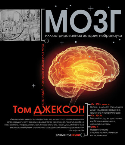 Книга Том Джексон, София Ан Мозг. Иллюстрированная история нейронауки