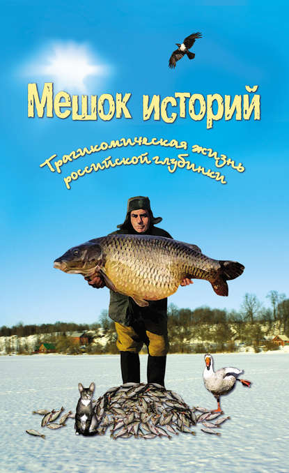 Книга Александр Александрович Росков Мешок историй (сборник)