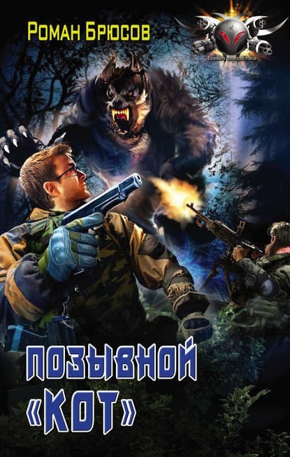 Книга Роман Брюсов Позывной «Кот»