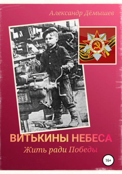 Книга Александр Васильевич Демышев Витькины небеса. Жить ради Победы