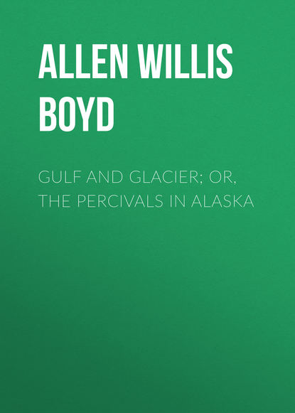 Книга Willis Allen, Allen Willis Boyd Gulf and Glacier; or, The Percivals in Alaska