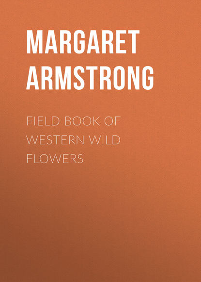 Книга Margaret Armstrong, Armstrong Margaret Field Book of Western Wild Flowers