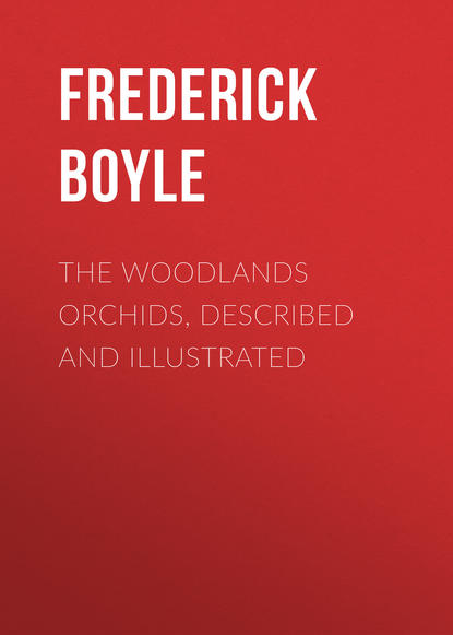 Книга Frederick Boyle, Boyle Frederick The Woodlands Orchids, Described and Illustrated