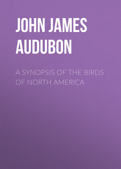 Книга John James Audubon, John Audubon A Synopsis of the Birds of North America