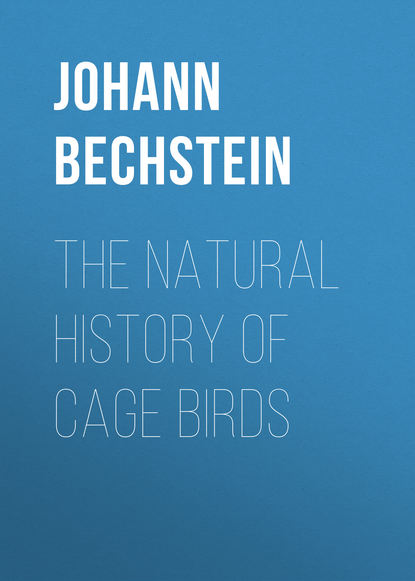 Книга Johann Bechstein, Bechstein Johann Matthäus The Natural History of Cage Birds