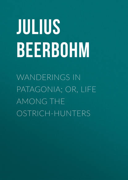 Книга Julius Beerbohm, Beerbohm Julius Wanderings in Patagonia; Or, Life Among the Ostrich-Hunters