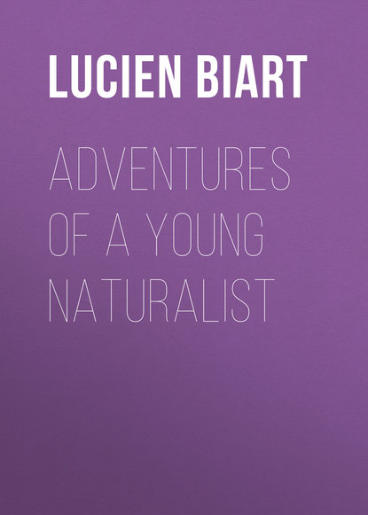 Книга Lucien Biart Adventures of a Young Naturalist