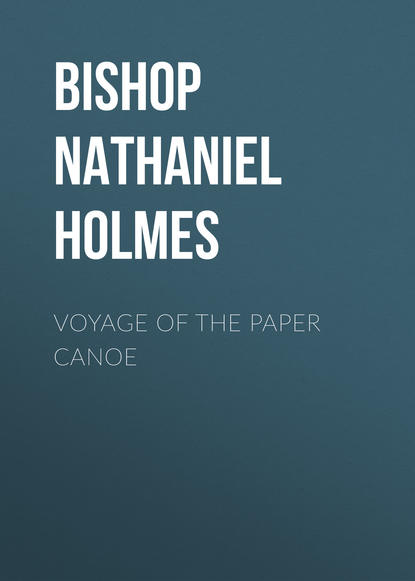 Книга Nathaniel Bishop, Bishop Nathaniel Holmes Voyage of the Paper Canoe