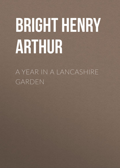 Книга Bright Henry Arthur, Henry Bright A Year in a Lancashire Garden