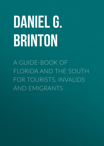 Книга Brinton Daniel Garrison, Daniel Brinton A Guide-Book of Florida and the South for Tourists, Invalids and Emigrants