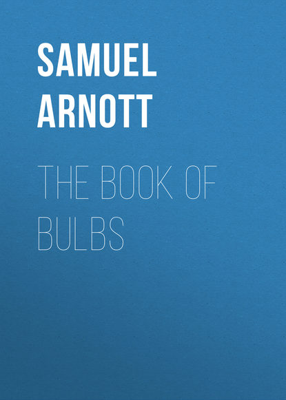Книга Samuel Arnott, Arnott Samuel The Book of Bulbs