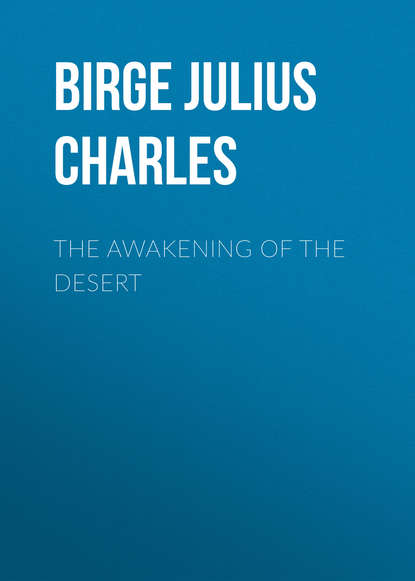 Книга Julius Birge, Birge Julius Charles The Awakening of the Desert