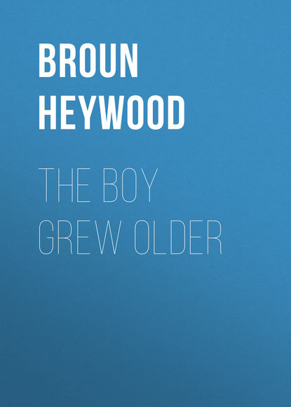 Книга Heywood Broun, Broun Heywood The Boy Grew Older