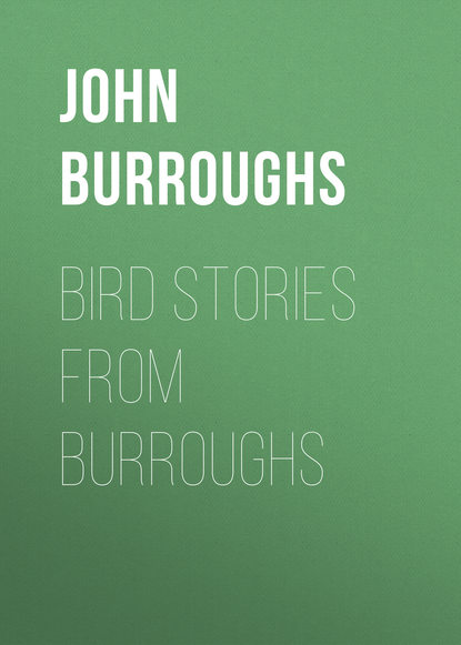 Книга John Burroughs Bird Stories from Burroughs