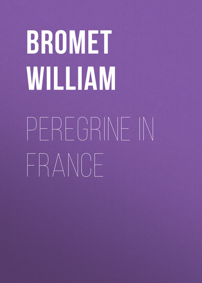 Книга William Bromet, Bromet William Peregrine in France