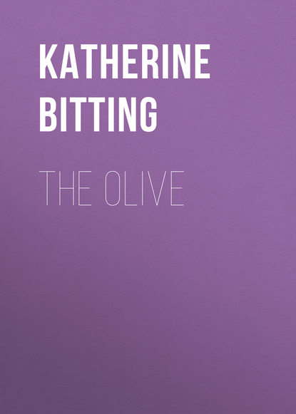 Книга Katherine Golden Bitting, Katherine Bitting The Olive