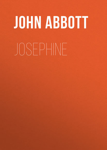 Книга John Abbott, Abbott John Stevens Cabot Josephine