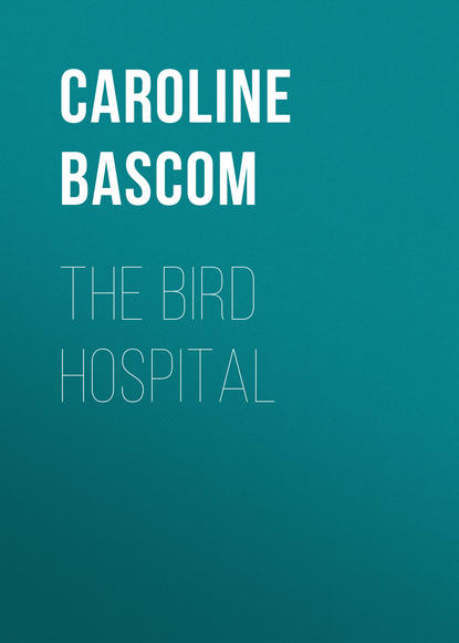 Книга Caroline Bascom, Bascom Caroline Crowninshield The Bird Hospital