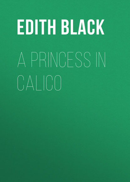 Книга Edith Black, Black Edith Ferguson A Princess in Calico