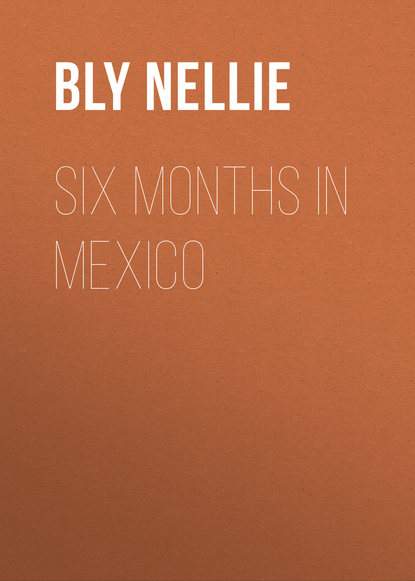 Книга Bly Nellie, Nellie Bly Six Months in Mexico