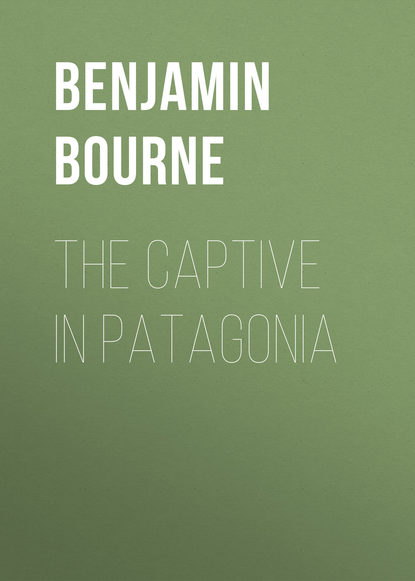Книга Bourne Benjamin Franklin, Benjamin Bourne The Captive in Patagonia