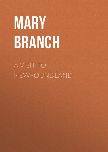 Книга Branch Mary Lydia, Mary Branch A Visit to Newfoundland
