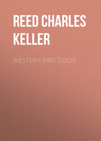 Книга Charles Reed, Reed Charles Keller Western Bird Guide
