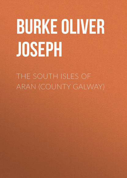 Книга Oliver Burke, Burke Oliver Joseph The South Isles of Aran (County Galway)