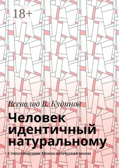 Книга Всеволод В. Кудинов Человек идентичный натуральному. Стихотворения. Психологическая поэма