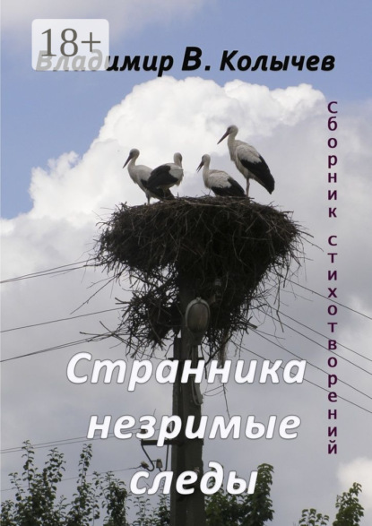 Книга Владимир Васильевич Колычев Странника незримые следы