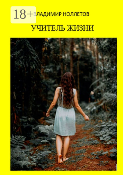 Книга Владимир Ноллетов Учитель жизни