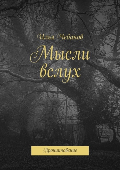 Книга Илья Чебанов Мысли вслух. Проникновение