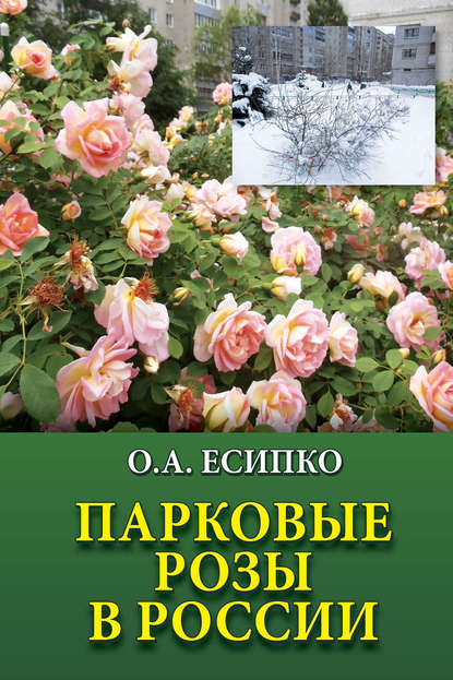Книга Олег Алексеевич Есипко, Олег Есипко Парковые розы в России