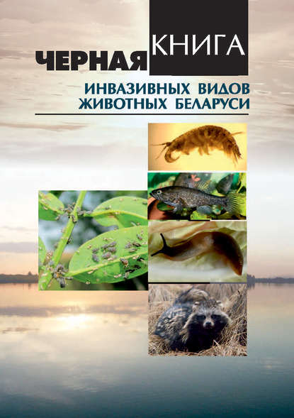 Книга Виталий Павлович Семенченко, Сергей Михайлович Дробенков, Анатолий Васильевич Алехнович, Сергей Владимирович Буга Черная книга инвазивных видов животных Беларуси