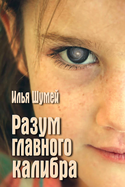 Книга Илья Александрович Шумей Разум главного калибра
