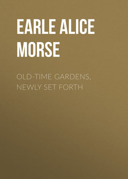 Книга Earle Alice Morse, Alice Earle Old-Time Gardens, Newly Set Forth