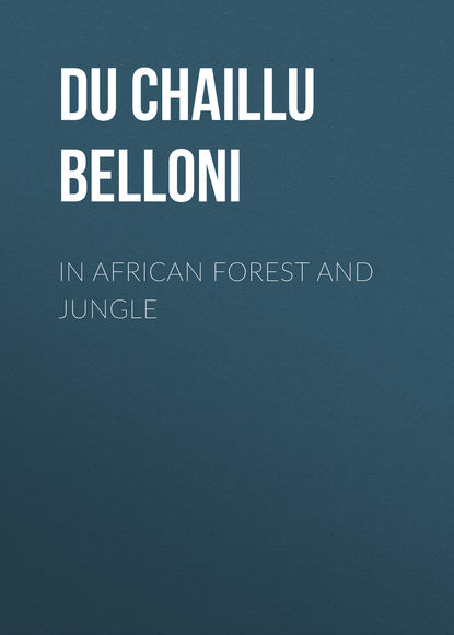 Книга Paul Du Chaillu, Du Chaillu Paul Belloni In African Forest and Jungle