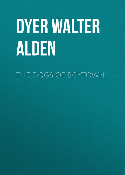 Книга Dyer Walter Alden, Walter Dyer The Dogs of Boytown