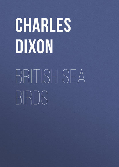 Книга Charles Dixon British Sea Birds