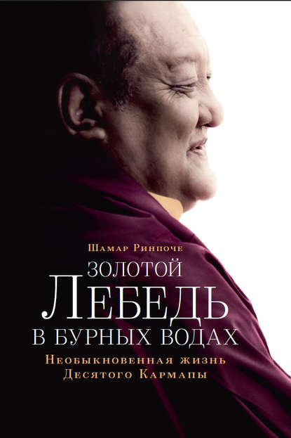Книга Шамар Ринпоче, Екатерина Печинкина-Оффорт, Шамар Ринпоче (Мипхам Чёкьи Лодрё) Золотой лебедь в бурных водах. Необыкновенная жизнь Десятого Кармапы