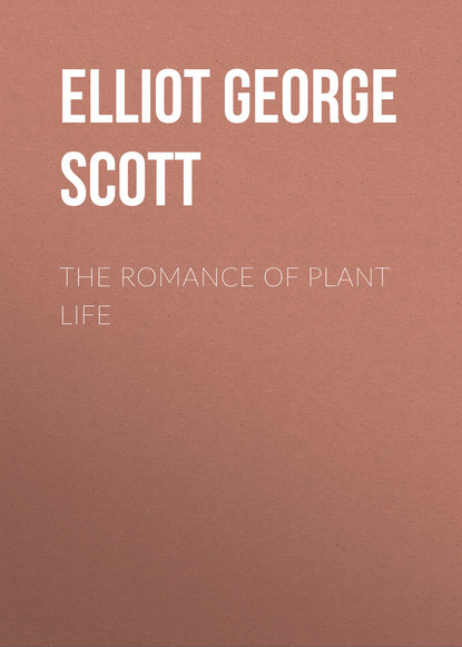 Книга George Elliot, Elliot George Francis Scott The Romance of Plant Life