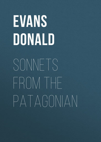 Книга Donald Evans, Evans Donald Sonnets from the Patagonian