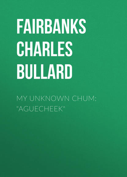 Книга Charles Fairbanks, Fairbanks Charles Bullard My Unknown Chum: "Aguecheek"