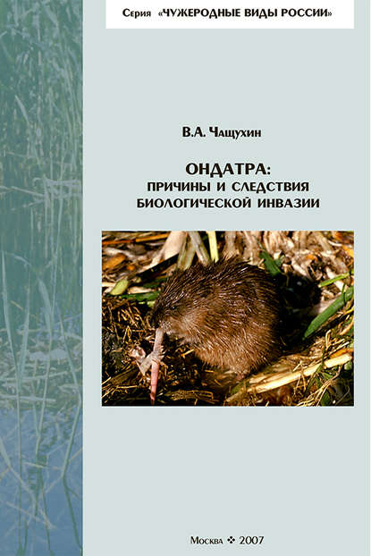 Книга В. А. Чащухин Ондатра: причины и следствия биологической инвазии