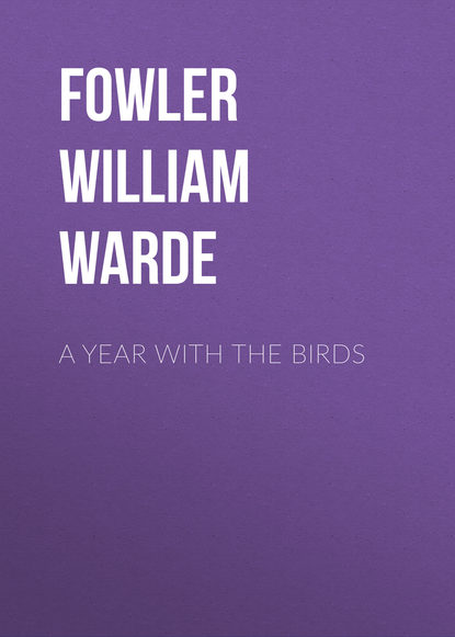Книга William Fowler, Fowler William Warde A Year with the Birds