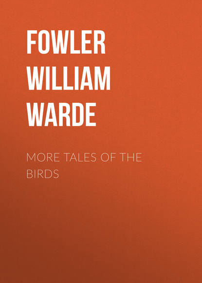Книга William Fowler, Fowler William Warde More Tales of the Birds